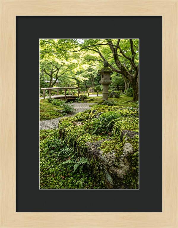Japanese Zen Garden Serenity