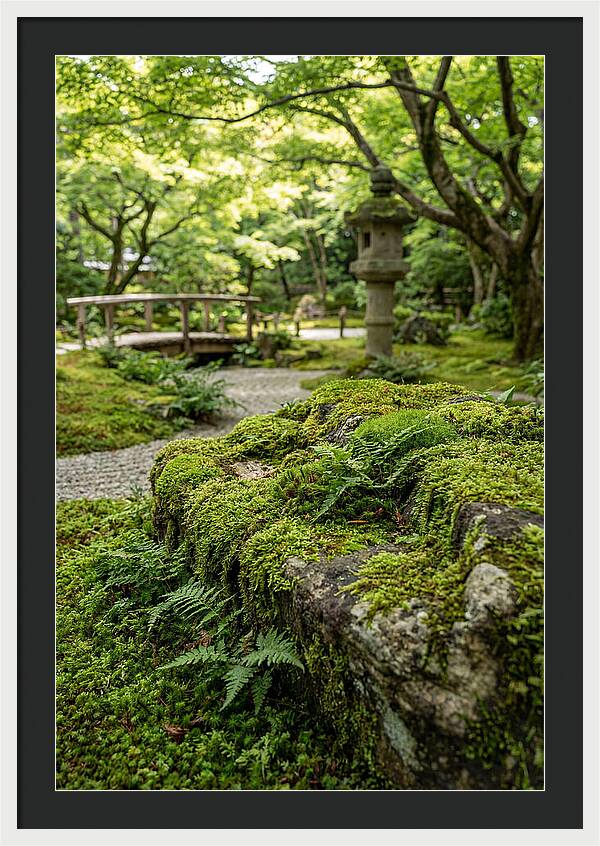 Japanese Zen Garden Serenity