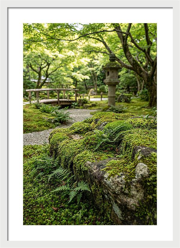 Japanese Zen Garden Serenity