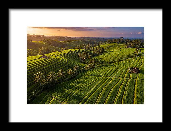 Jatiluwih Rice Terraces At Sunset