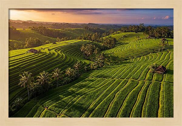 Jatiluwih Rice Terraces At Sunset