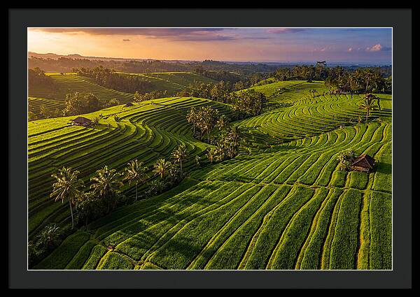 Jatiluwih Rice Terraces At Sunset