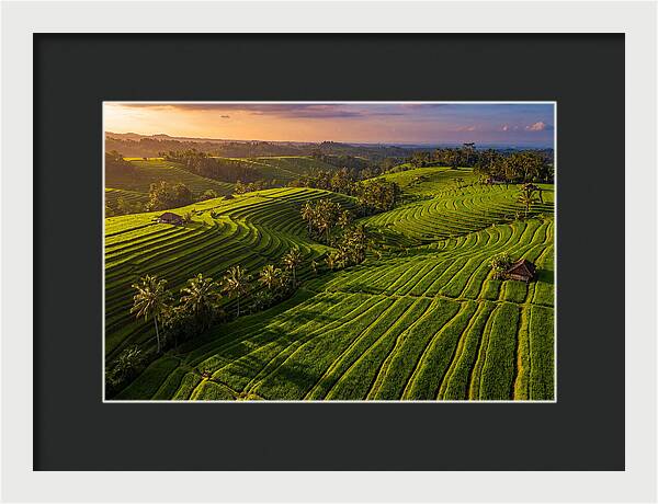 Jatiluwih Rice Terraces At Sunset