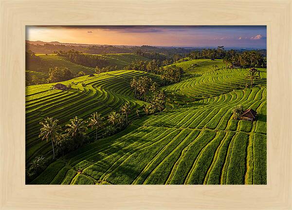 Jatiluwih Rice Terraces At Sunset