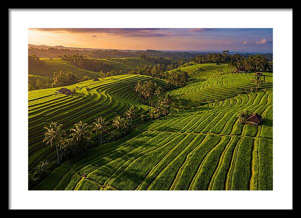 Jatiluwih Rice Terraces At Sunset