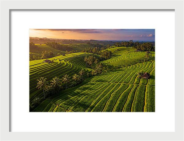 Jatiluwih Rice Terraces At Sunset