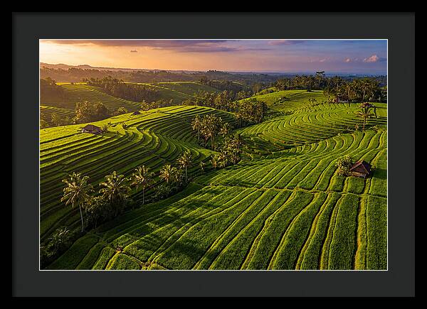 Jatiluwih Rice Terraces At Sunset