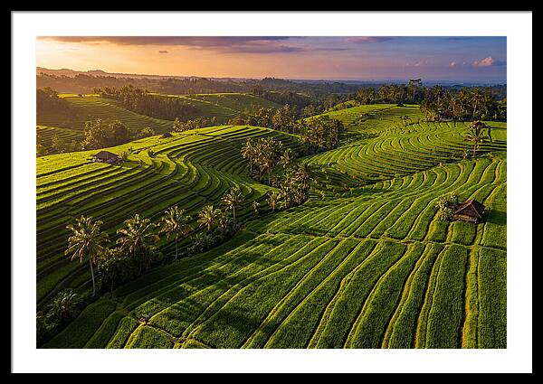 Green Field Art