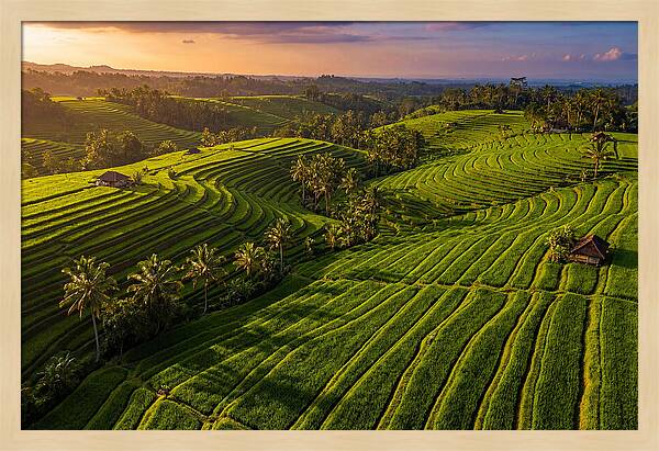 Jatiluwih Rice Terraces At Sunset