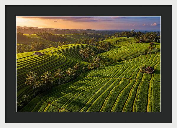 Jatiluwih Rice Terraces At Sunset