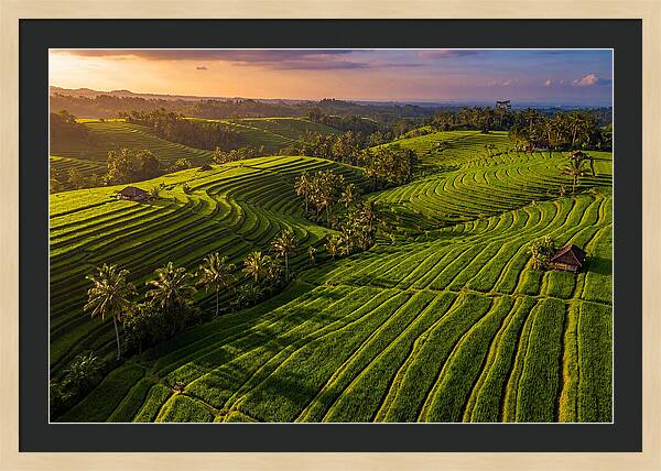 Jatiluwih Rice Terraces At Sunset