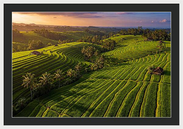 Jatiluwih Rice Terraces At Sunset