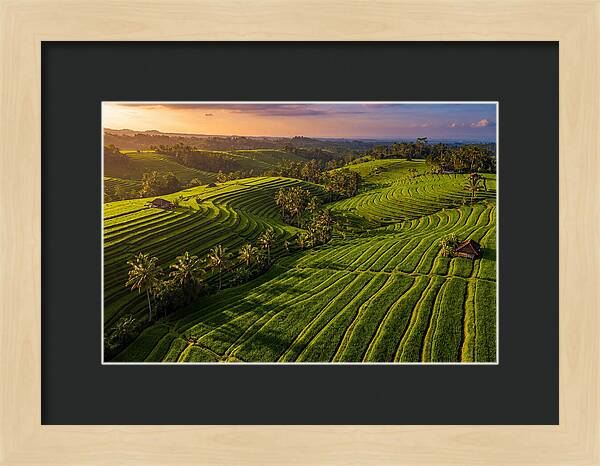 Jatiluwih Rice Terraces At Sunset