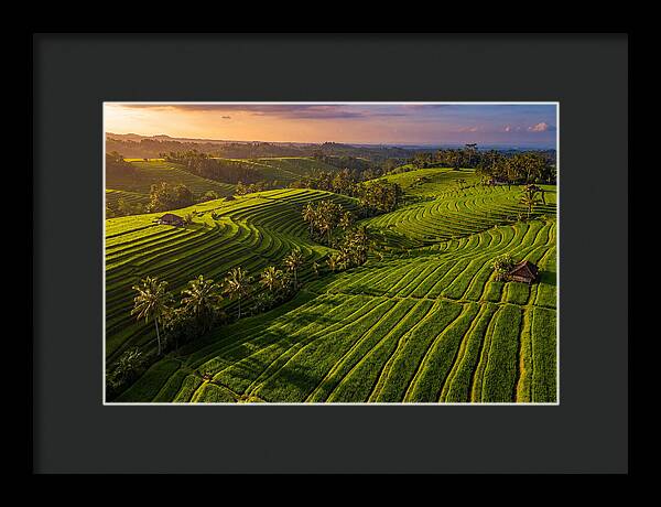 Jatiluwih Rice Terraces At Sunset