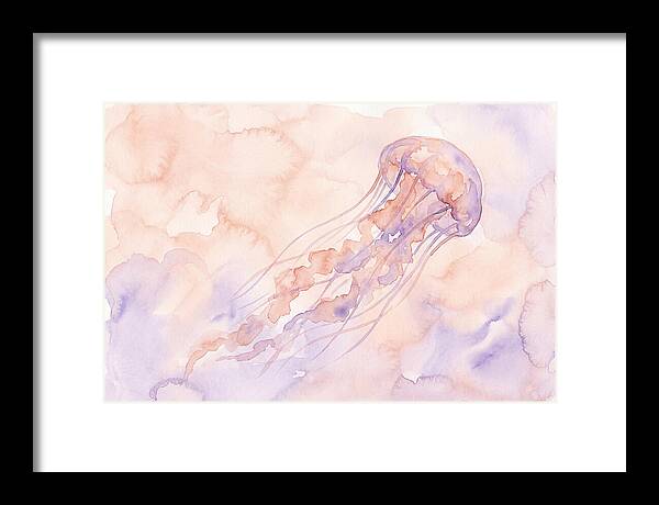 Jellyfish In Soft Hues
