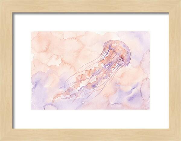 Jellyfish In Soft Hues