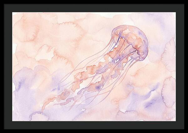 Jellyfish In Soft Hues