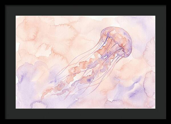 Jellyfish In Soft Hues