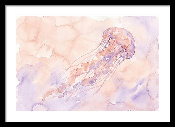 Jellyfish In Soft Hues