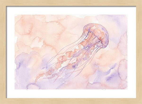 Jellyfish In Soft Hues