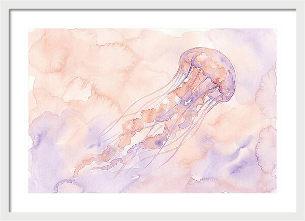 Jellyfish In Soft Hues