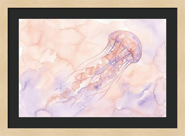 Jellyfish In Soft Hues