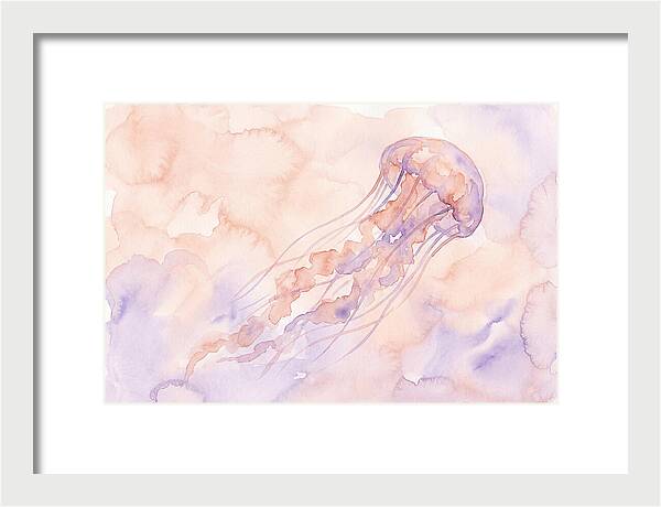 Jellyfish In Soft Hues