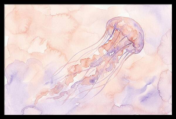 Jellyfish In Soft Hues