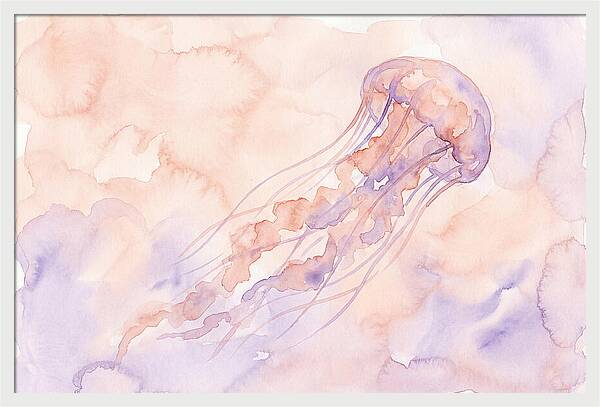 Jellyfish In Soft Hues