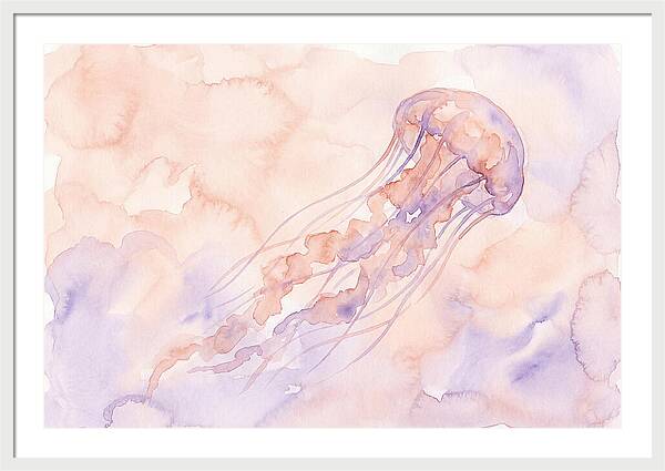 Jellyfish In Soft Hues