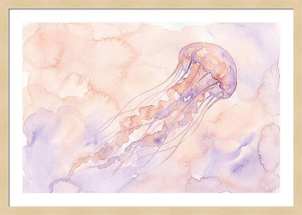 Jellyfish In Soft Hues