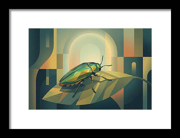 Jewel Beetle Serenity