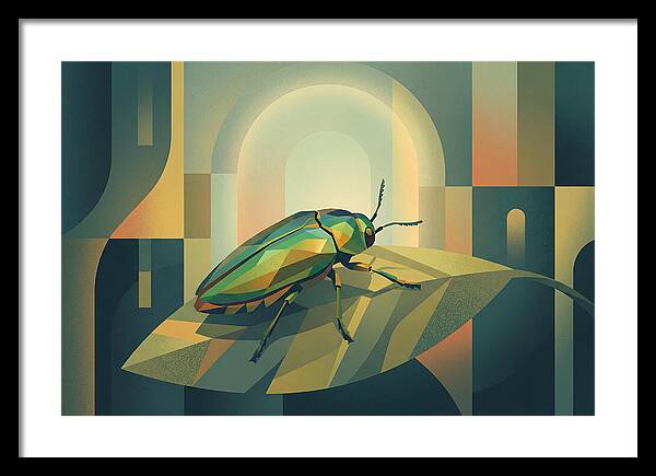 Jewel Beetle Serenity