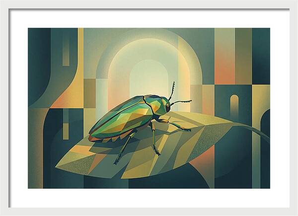 Jewel Beetle Serenity