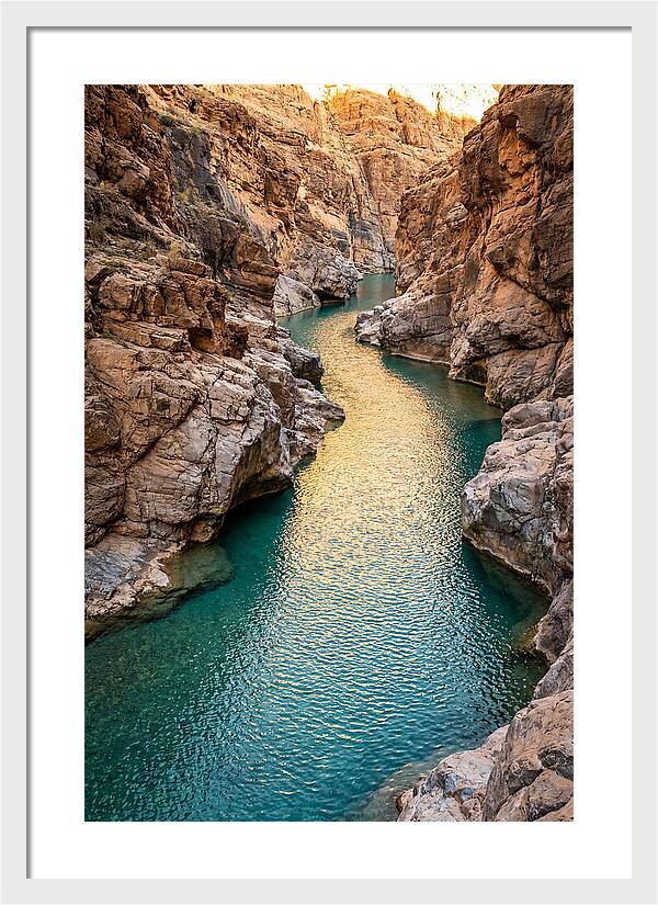 Johnson Shut Ins Serenity
