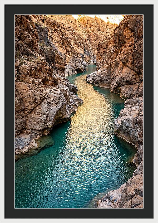 Johnson Shut Ins Serenity