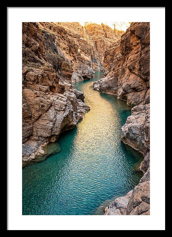 Johnson Shut Ins Serenity
