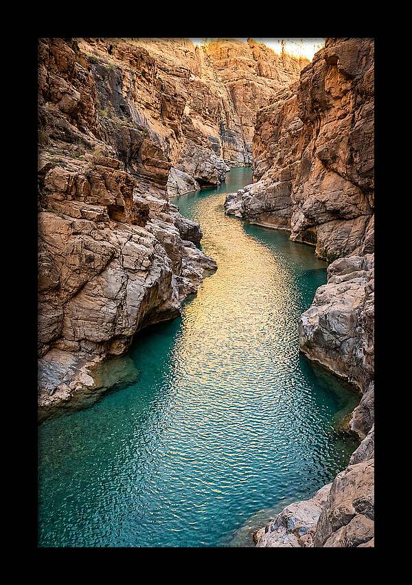 Johnson Shut Ins Serenity