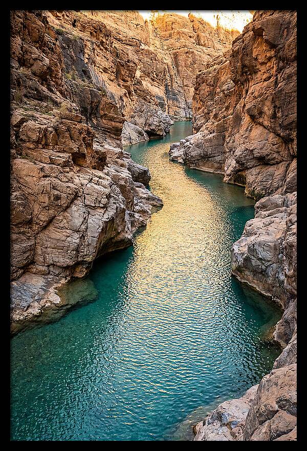 Johnson Shut Ins Serenity