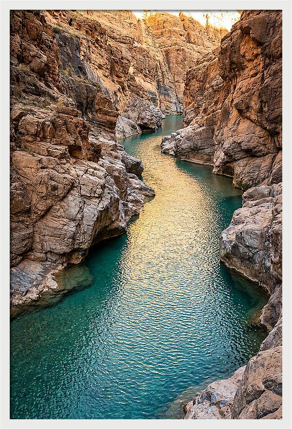 Johnson Shut Ins Serenity