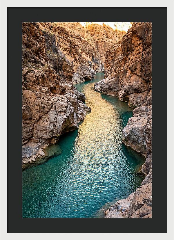 Johnson Shut Ins Serenity