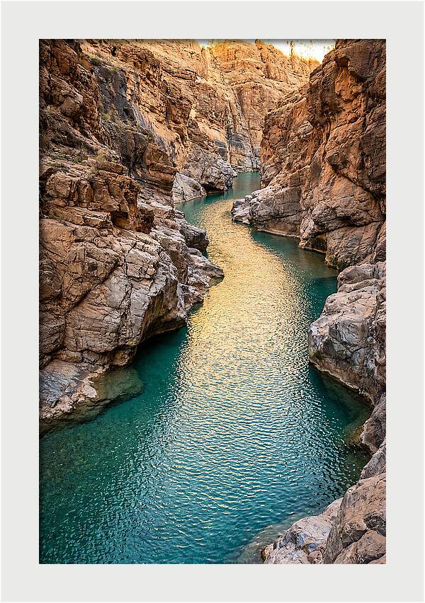Johnson Shut Ins Serenity