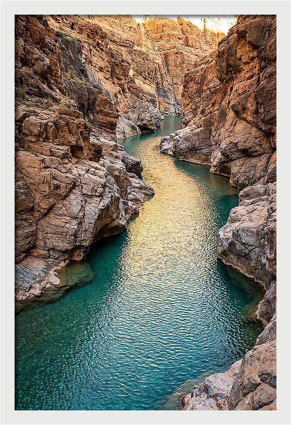 Johnson Shut Ins Serenity