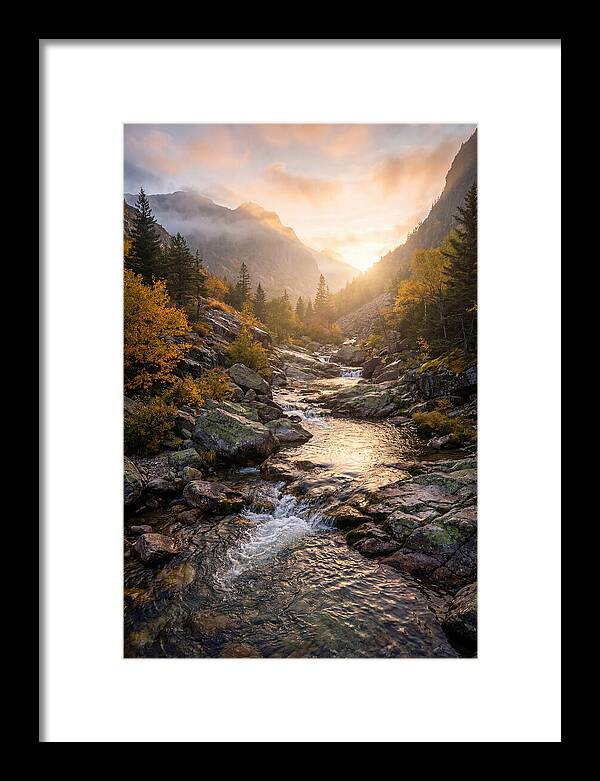 Jones Gap Mountain Serenity