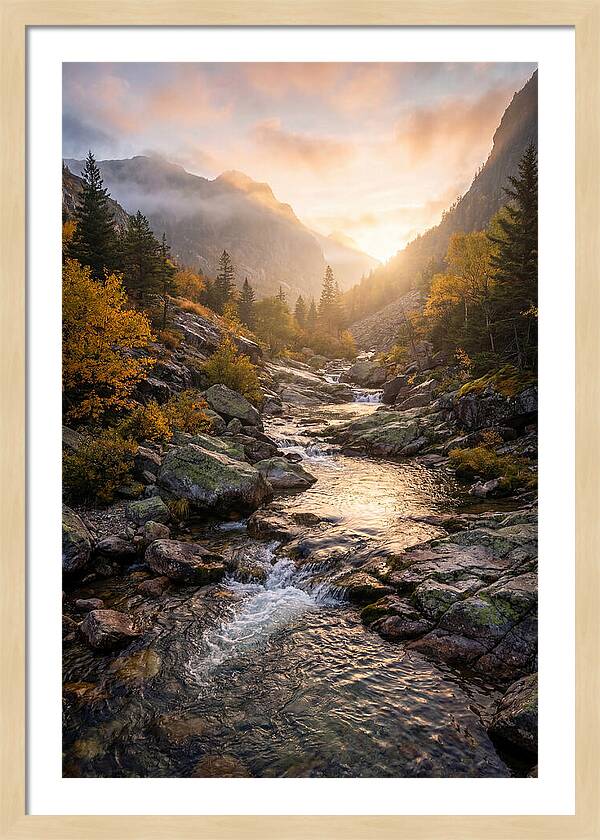 Jones Gap Mountain Serenity