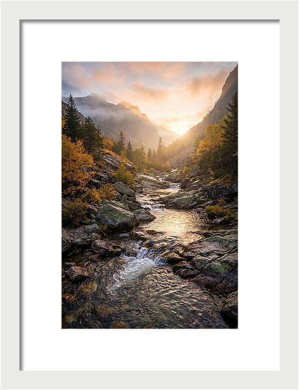 Jones Gap Mountain Serenity