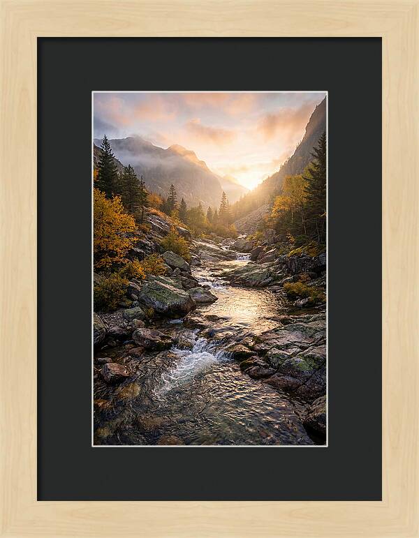 Jones Gap Mountain Serenity