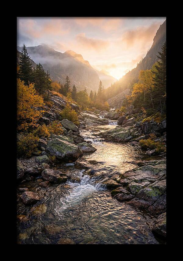 Jones Gap Mountain Serenity