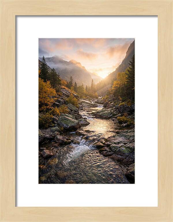 Jones Gap Mountain Serenity