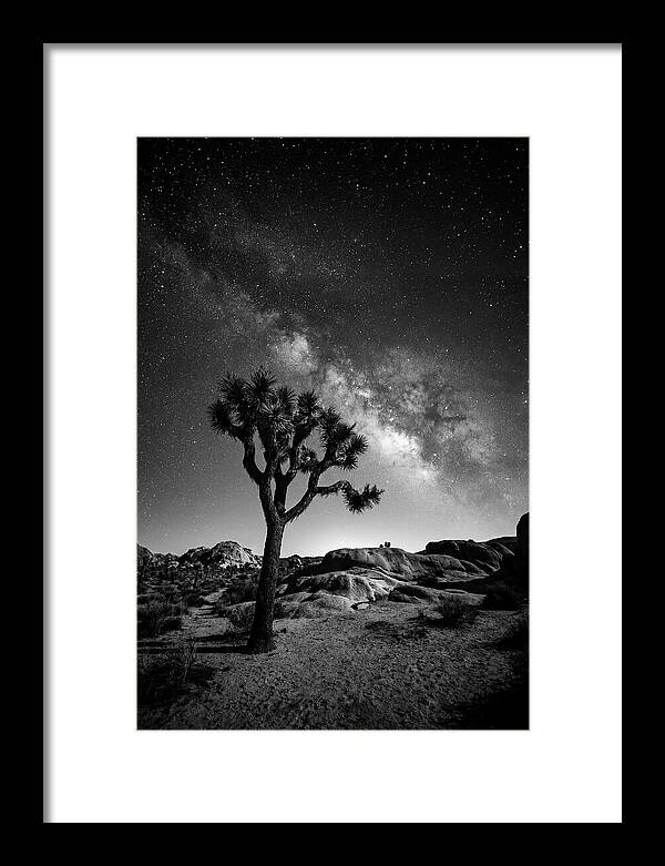 Joshua Tree Under Starry Sky